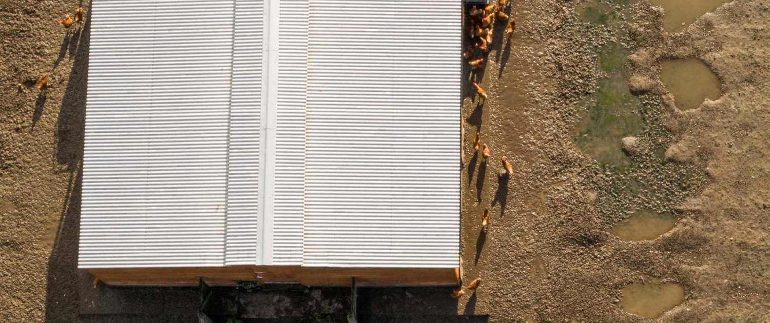Farm Drone Inspection Farm Drone Inspection