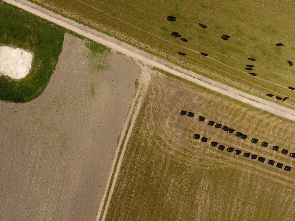 Drone Farm mapping detail