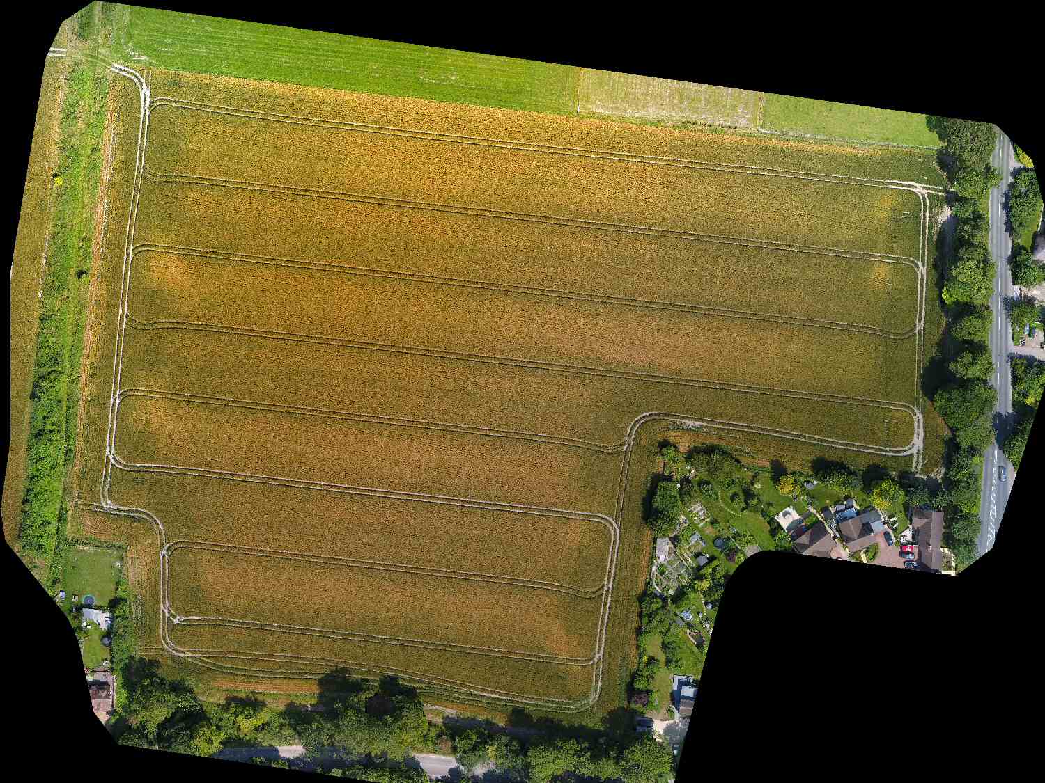 Example drone mapping photo of cornfield Example drone mapping photo of cornfield