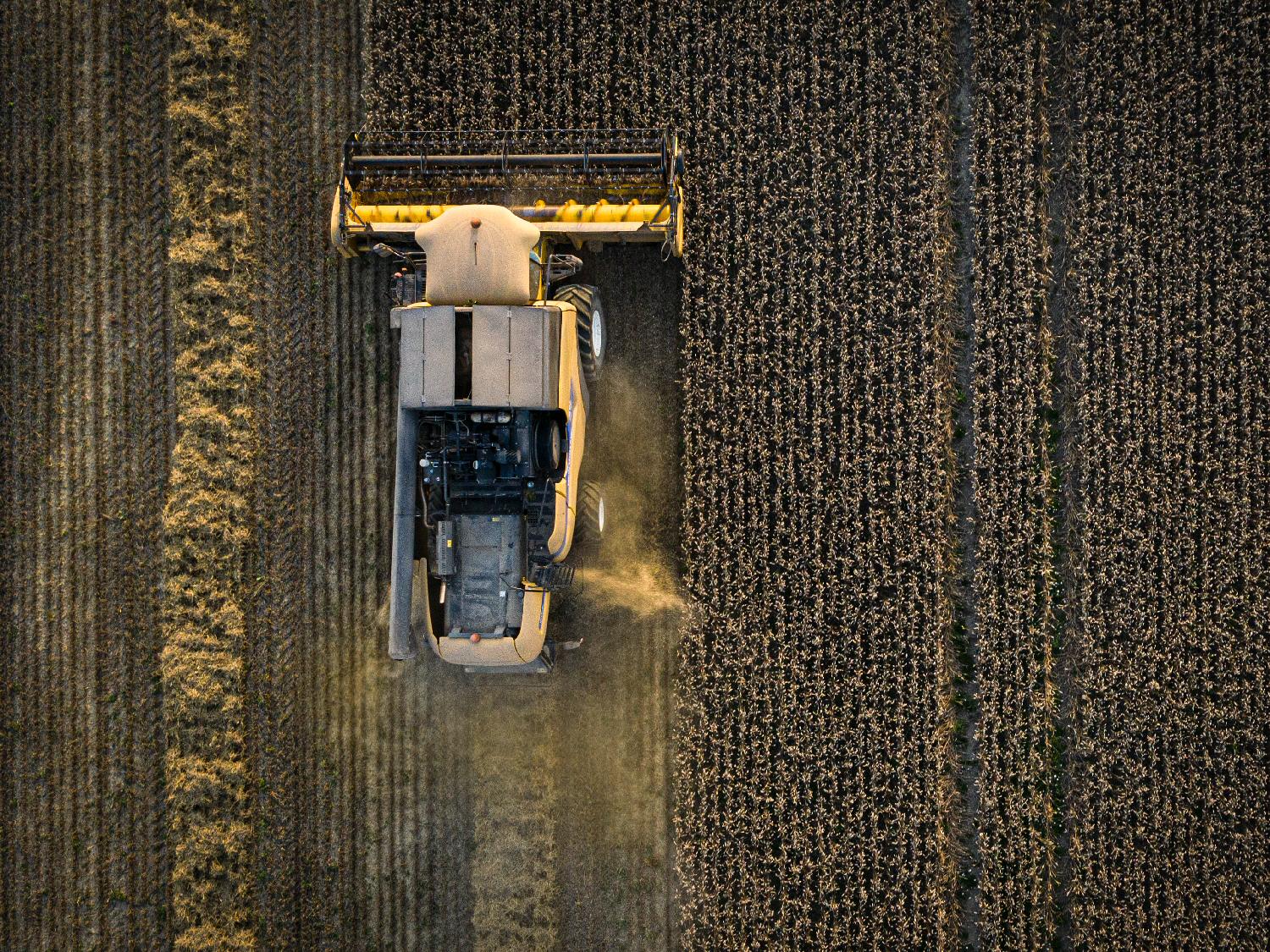 Harvest time Harvest time