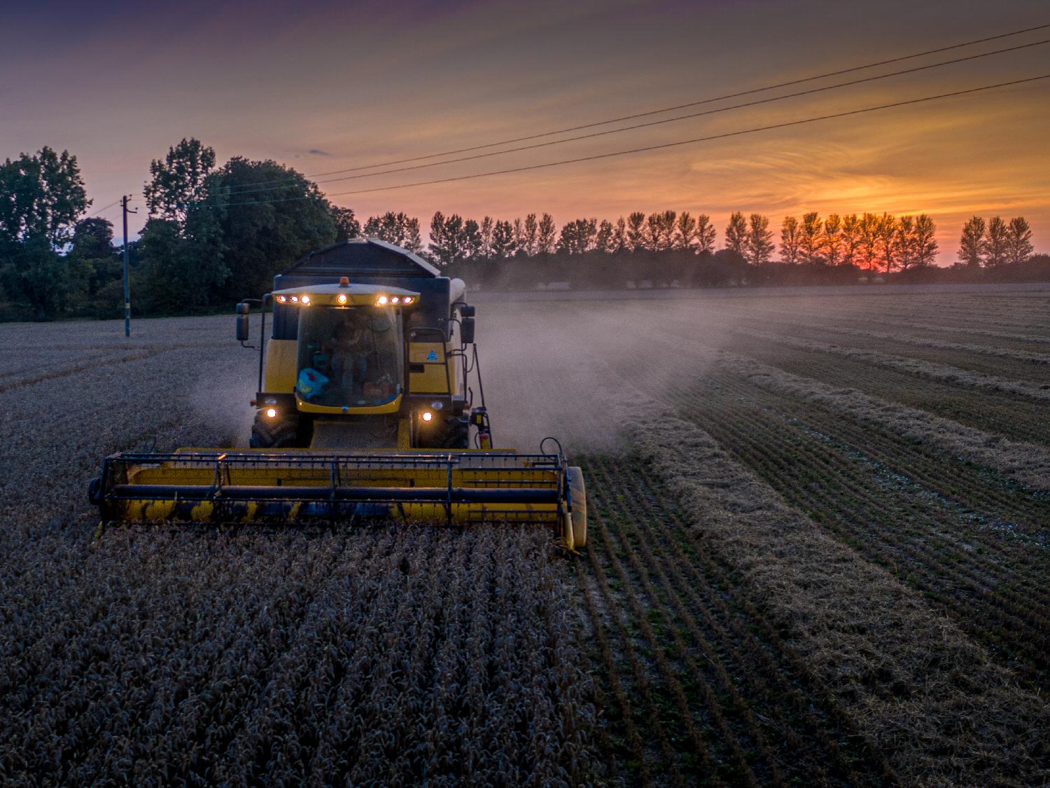 Harvest time Harvest time