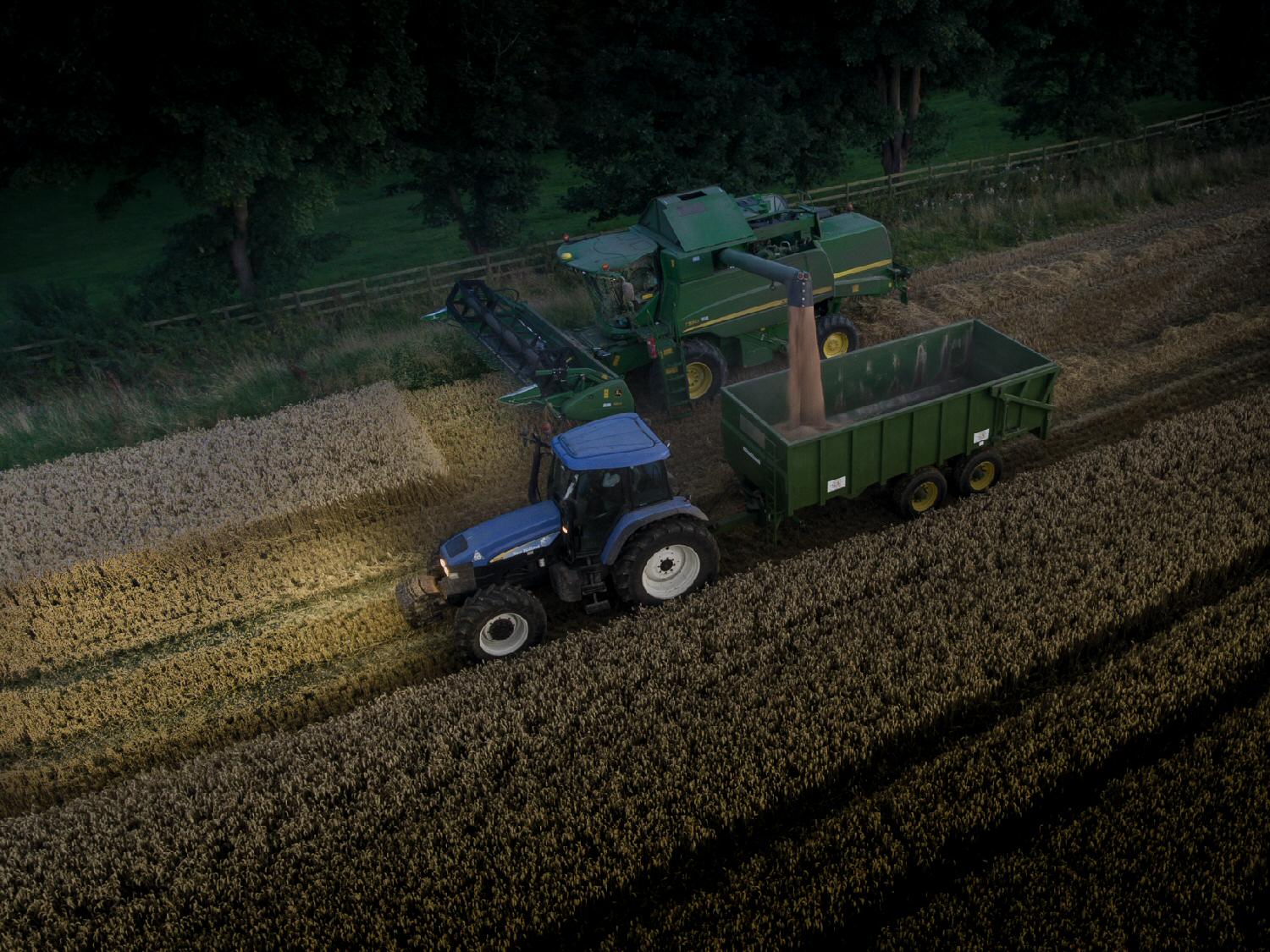 Harvest time Harvest time