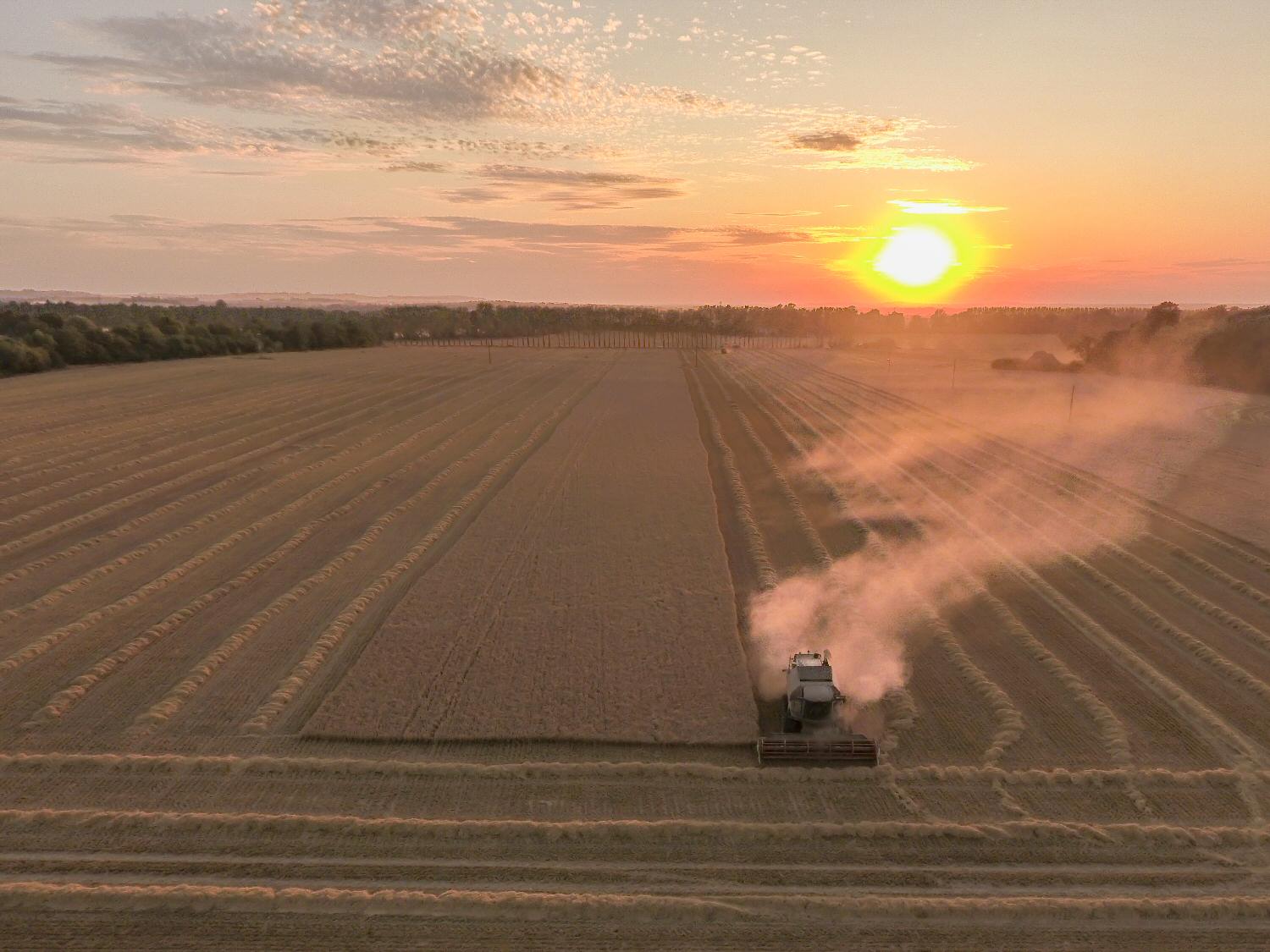 Harvest time Harvest time