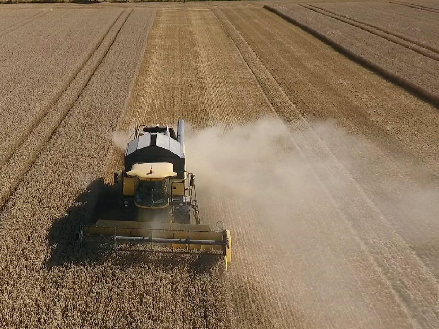 Harvest time Harvest time