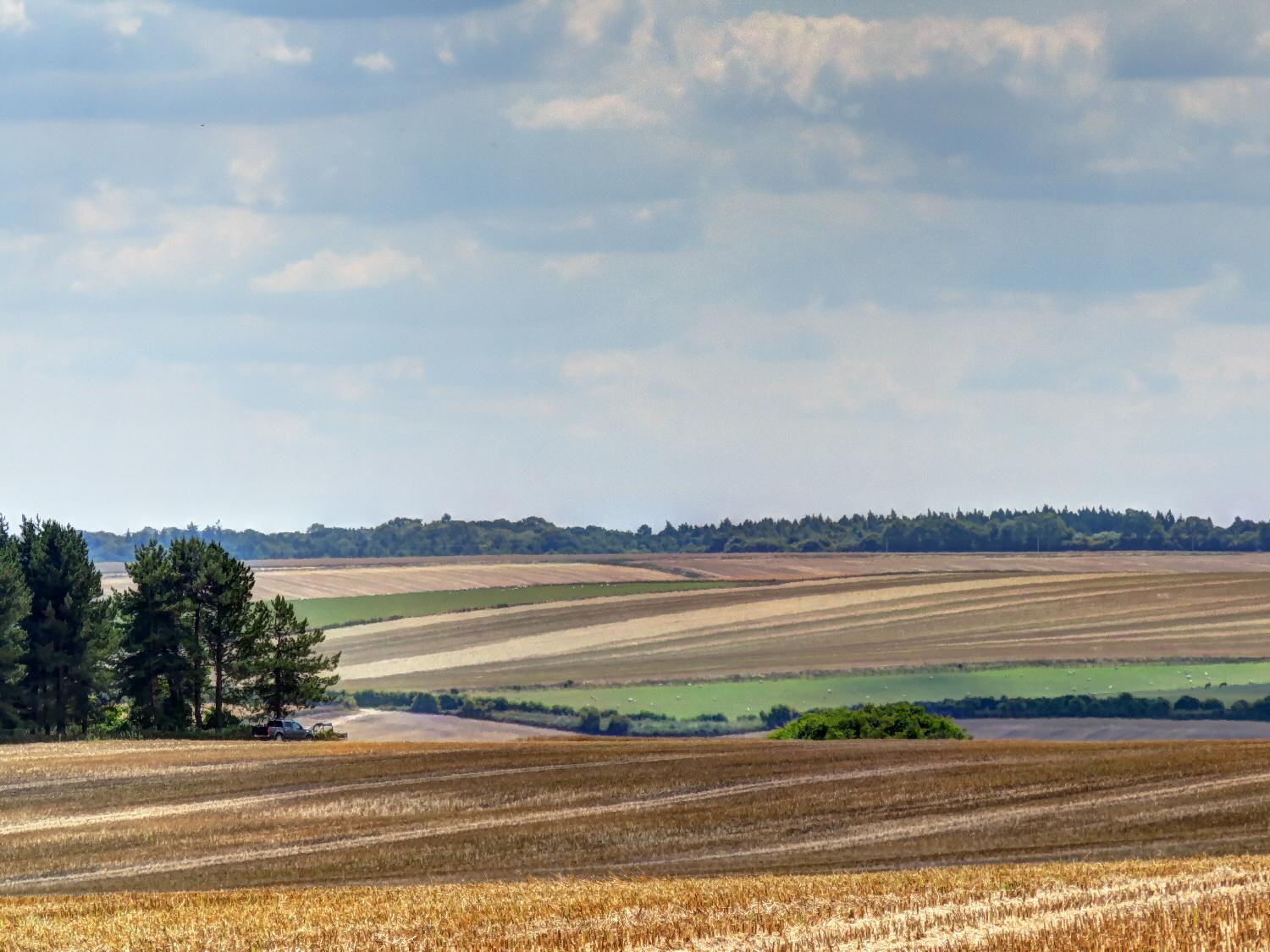 harvested Harvest time